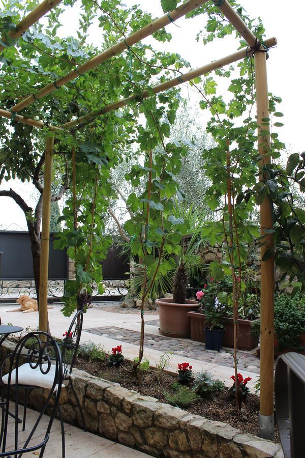 Bed & Breakfast Corte Tre Vigne